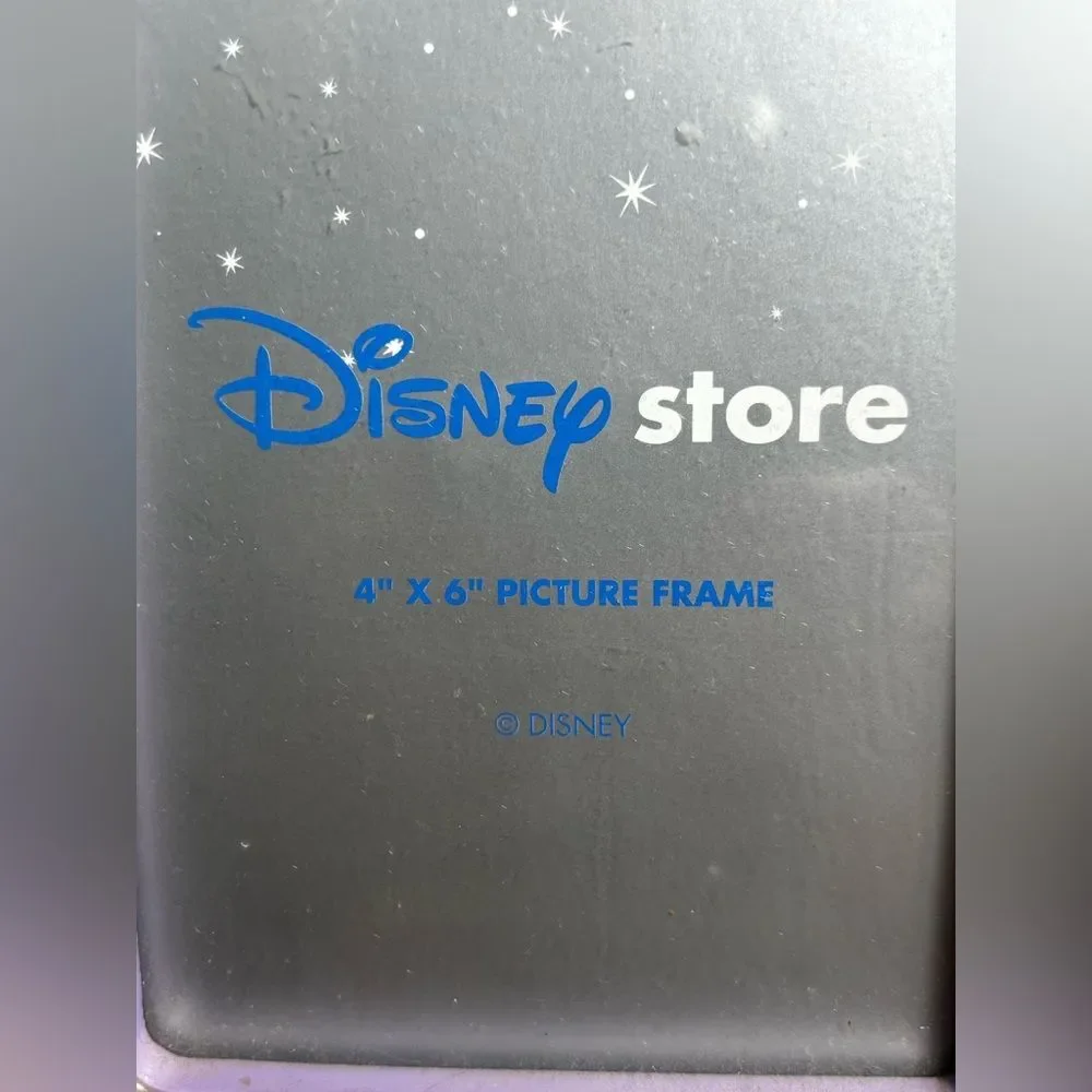 Vintage Tinkerbell Disney Store Picture Frame For 4x6 Fairy Acrylic Wood Easel